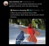 Screenshot_20250709_205928_YouTube