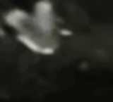 ezgif-529fb9f288e486