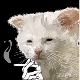 quishilobie-cat