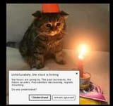 No Body wants MEEEEEEE