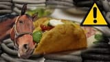 Bojak Tacos