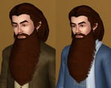 simswizard