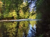 IMG_20240726_083059235
