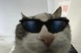 1747266525308015