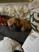 IMG_0203
