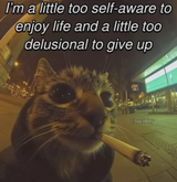 cat smoke