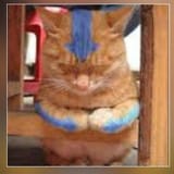 output (catbender)