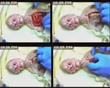 Russian-Alien-Body-Dissection