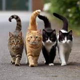 images (14)