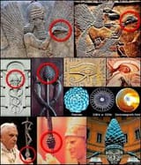 images-8