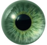 Thread 40783244 OP Image