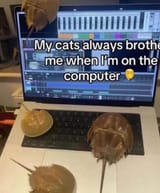 1746070660902458