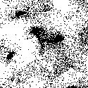 Þ