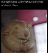 rrrrrrrrrrrrrattin