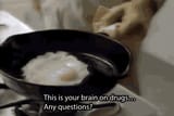 brain-brain-on-drugs