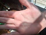 20250503_114550