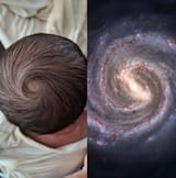 spiralpower