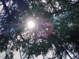 IMG_20250724_131909621