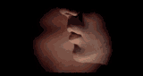 1749682261281425