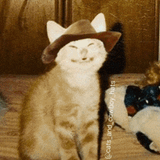 output cowboy