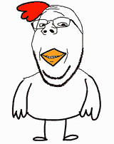 chicken-animal