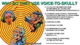 Why do they use Voice 2 Skull
