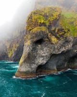 elephont