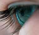 i c u EyE SeE YoU An Observer Senses Your Presence _thumb.jpg