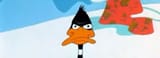 daffy