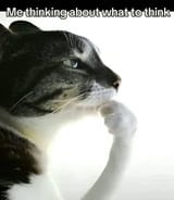 1000009634