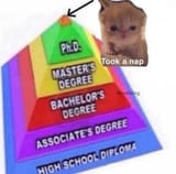 1753270046842528
