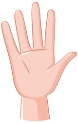 open-hand-vector-illustration_1308-169733