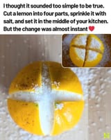 lemon-cross