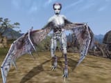 Wingedtwilight