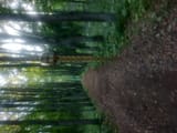 IMG_20250726_185812 (1)