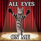allEyezOnMe