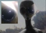 not the pic that shut down 4chan