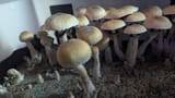 PXL_20250612_034127967