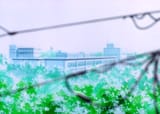 Serial Experiments Lain - 12.mkv_snapshot_02.35.134