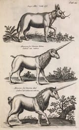unicorns-real