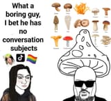 1732196373726371