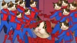 ME-OW