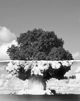 juxtaposition-examples-mixedormat