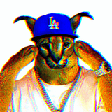 NOT that divine simply a feline