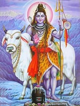 shiva (2)