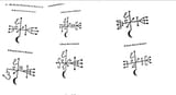 Gamalielrays1-6
