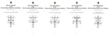 Shachor1-5