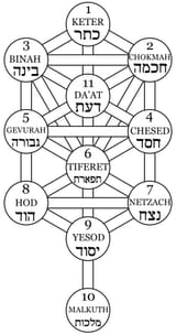 Tree_of_Life_Labels