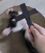 Ex