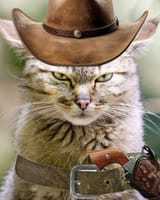 Texas-chan